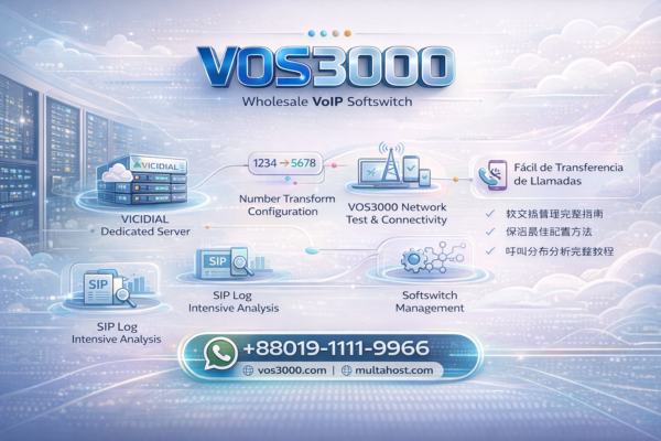 VOS3000 Network Test Easy Guide – Connectivity Troubleshooting