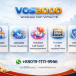 VOS3000 SIP Authentication, VOS3000 Domain Management, VOS3000 Call Failed Announcement, VOS3000 G729 Negotiation Mode, VOS3000 RTP Encryption