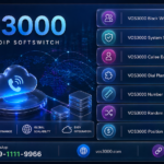 VOS3000 Black White List Groups, VOS3000 System White List, VOS3000 Callee Balance Verification, VOS3000 Dial Plan Wildcards, VOS3000 Number Length Matching, VOS3000 Random Routing Patterns, VOS3000 Position Keeper Dollar, VOS3000 LRN Number Portability, VOS3000 LRN Numbers