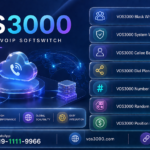 VOS3000 Black White List Groups, VOS3000 System White List, VOS3000 Callee Balance Verification, VOS3000 Dial Plan Wildcards, VOS3000 Number Length Matching, VOS3000 Random Routing Patterns, VOS3000 Position Keeper Dollar, VOS3000 LRN Number Portability, VOS3000 LRN Numbers
