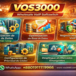 VOS3000 database optimization, VOS3000 Wholesale VoIP Business, VOS3000 Codec Priority Configuration, VOS3000 Emerging Markets Deployment, VOS3000 Webhook Callback Configuration
