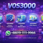 VOS3000 parameter description, VOS3000 system parameter, VOS3000 data maintenance, VOS3000 data report, VOS3000 number management