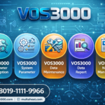 VOS3000 parameter description, VOS3000 system parameter, VOS3000 data maintenance, VOS3000 data report, VOS3000 number management