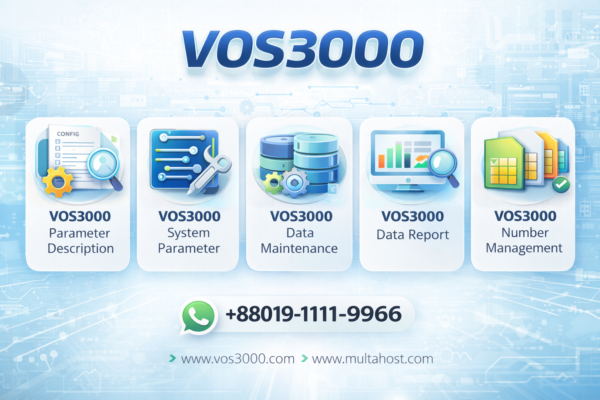 VOS3000 Parameter Description: Complete Configuration Reference Guide Free