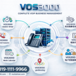 VOS3000 session timer, VOS3000 call end reasons, VOS3000 Work Calendar, VOS3000 geofencing, VOS3000软交换参数优化, VOS3000错误代码大全, VOS3000账户权限管理