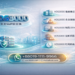 VOS3000 服务器迁移, VOS3000 负余额阻断, VOS3000 转码 DTMF, VOS3000 挂断原因 503, VOS3000 时间路由